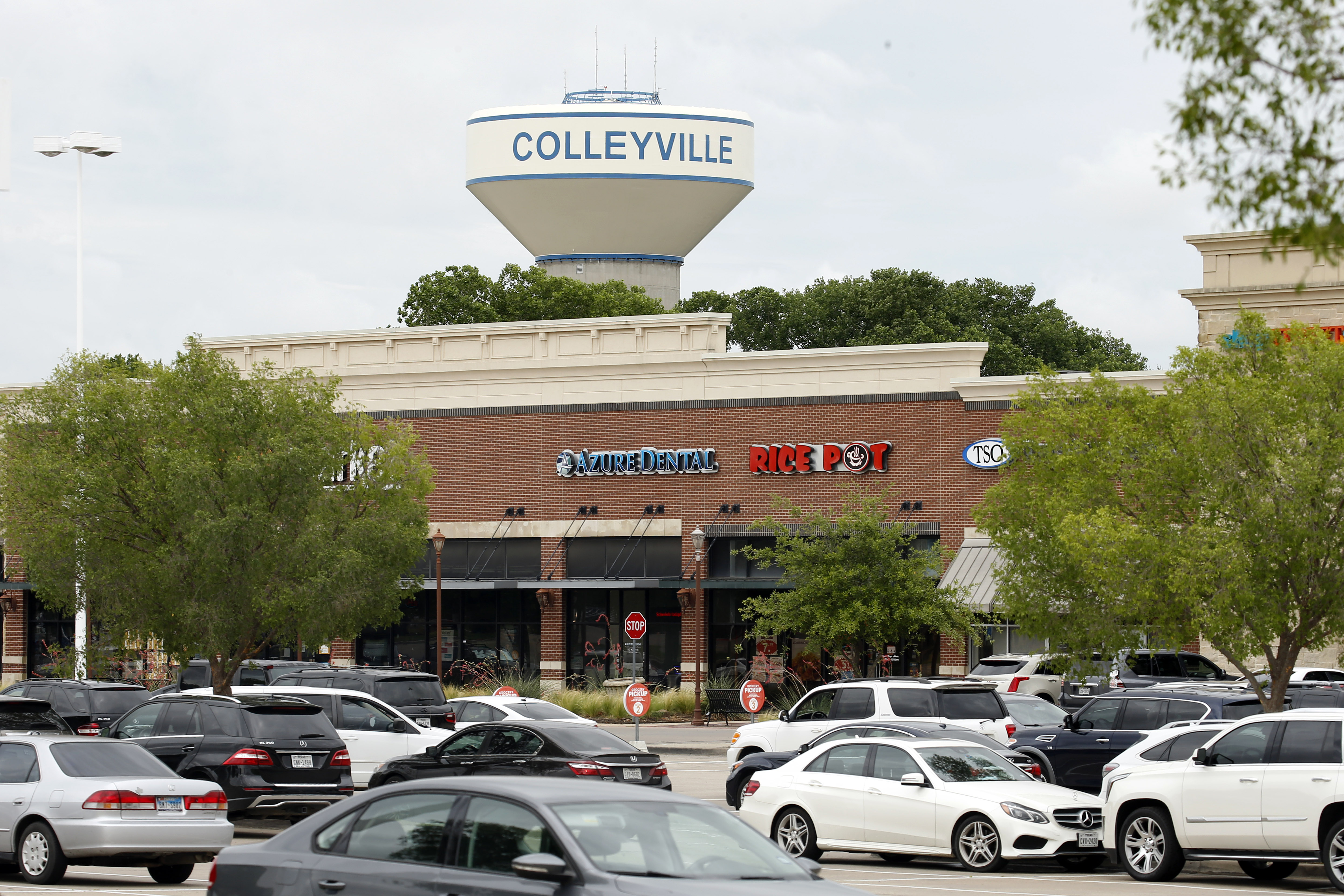 Artificial grass in Colleyville, TX