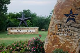 Artificial grass in Euless, TX